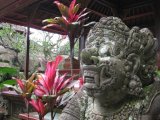 Clinical quiz 3: The boys trip to Bali